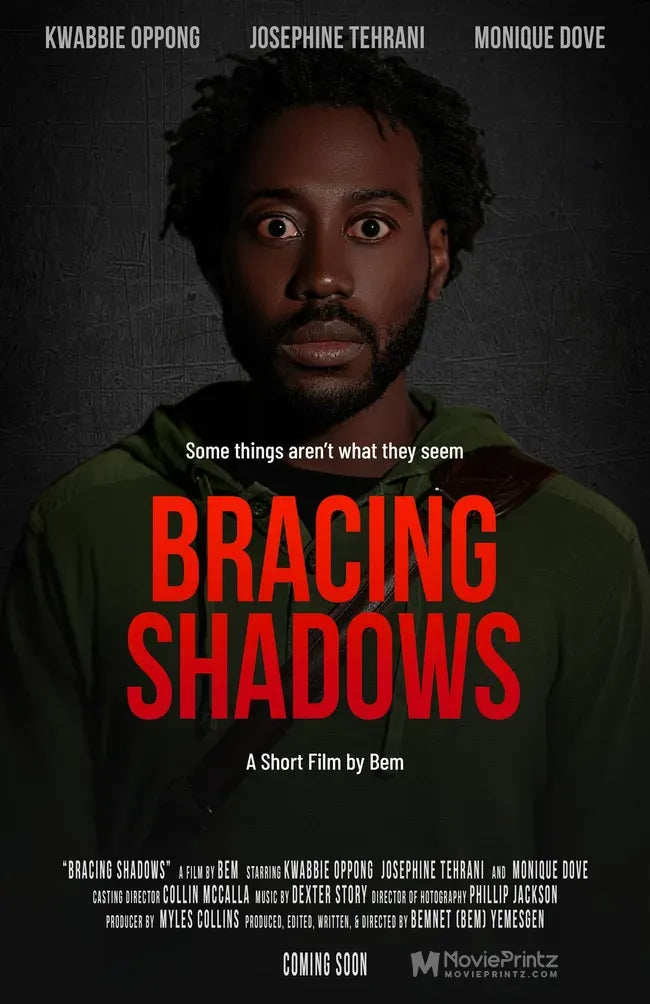 Bracing Shadows Poster