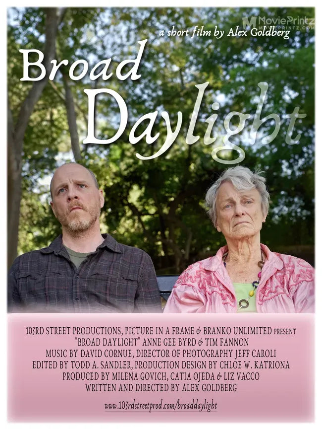 Broad Daylight Poster