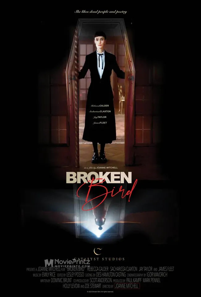 Broken Bird Poster