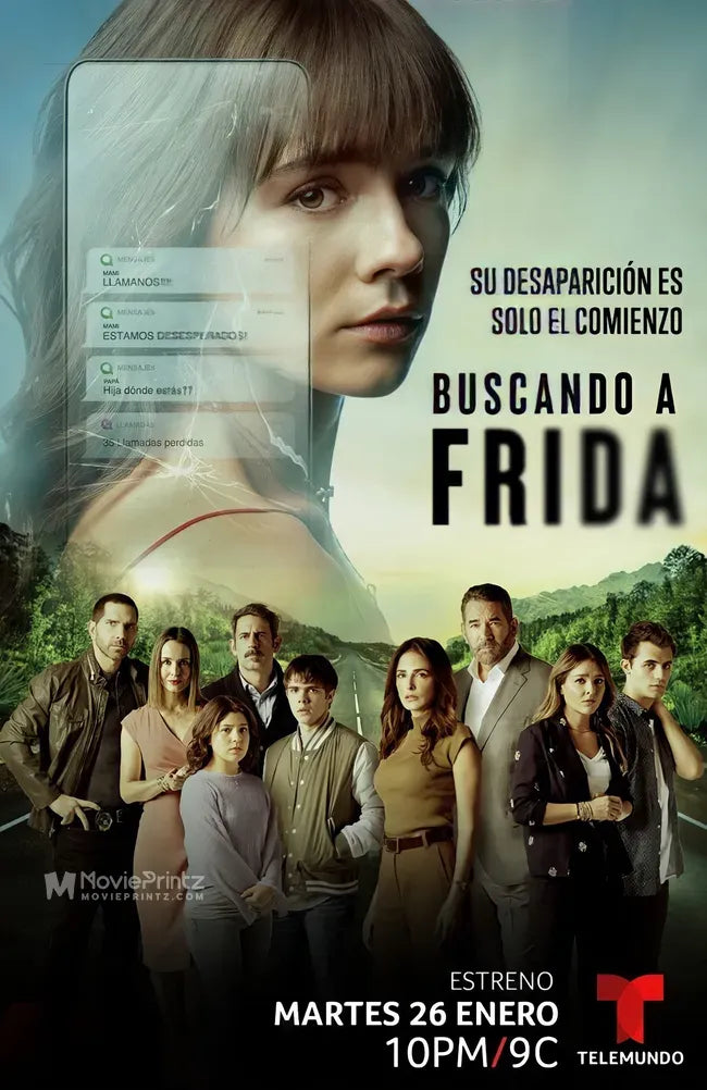 Buscando a Frida Poster