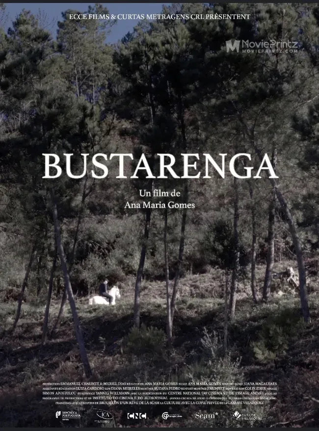 Bustarenga Poster