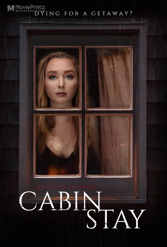 Cabin Stay Poster