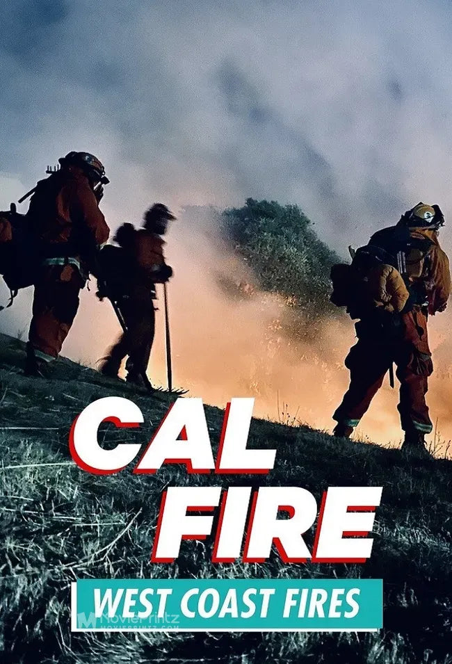 Cal Fire Poster