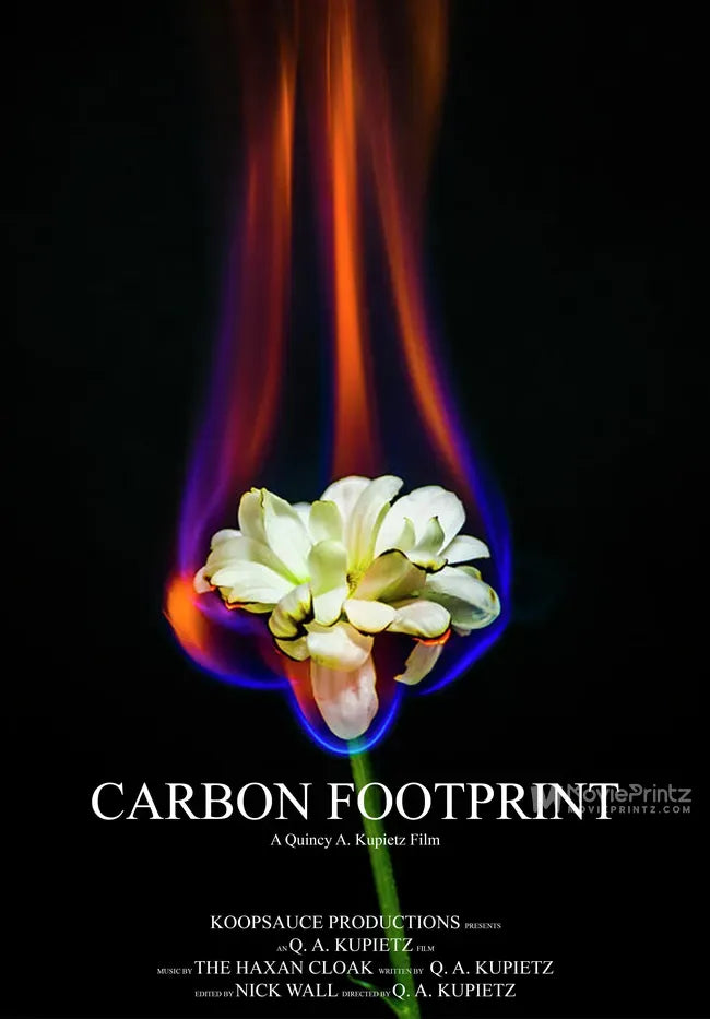 Carbon Footprint Poster