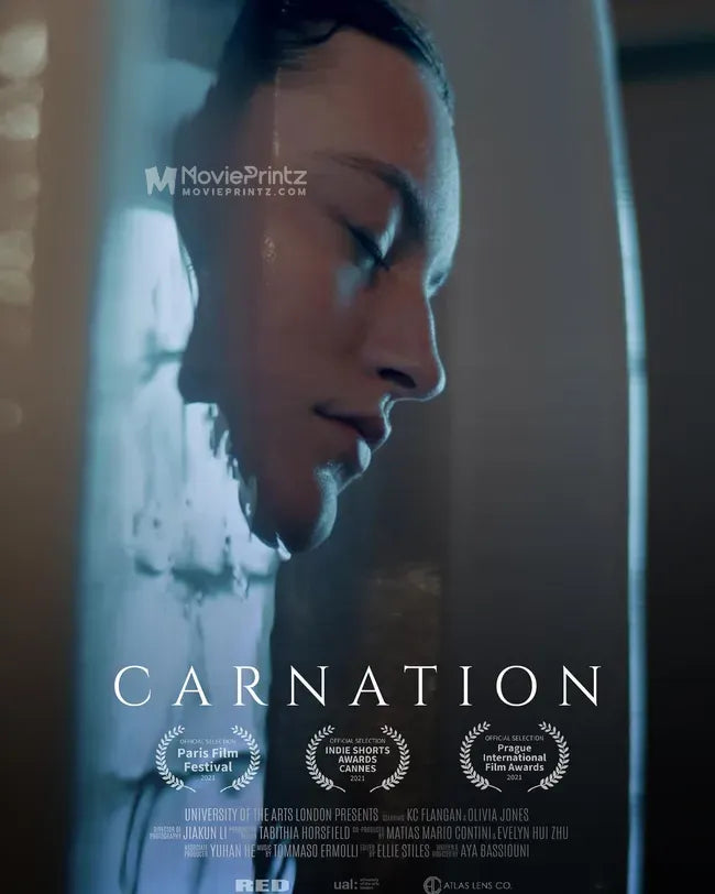 Carnation Poster