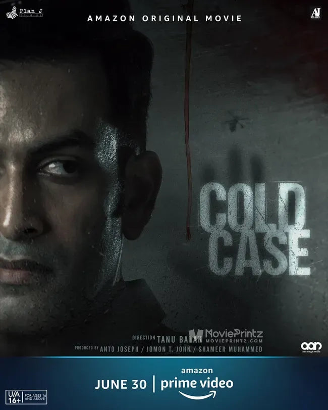 Cold Case Poster