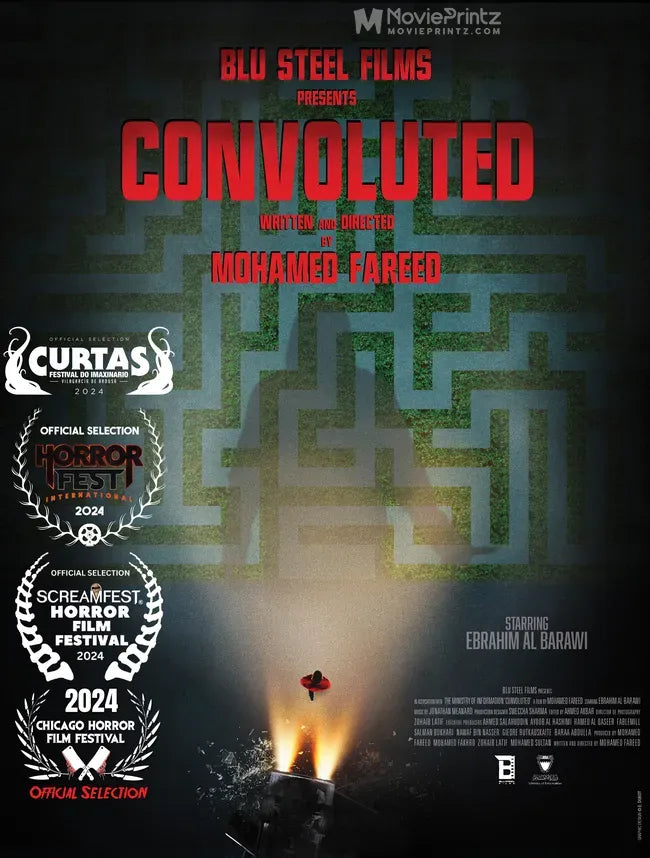 Convoluted Poster