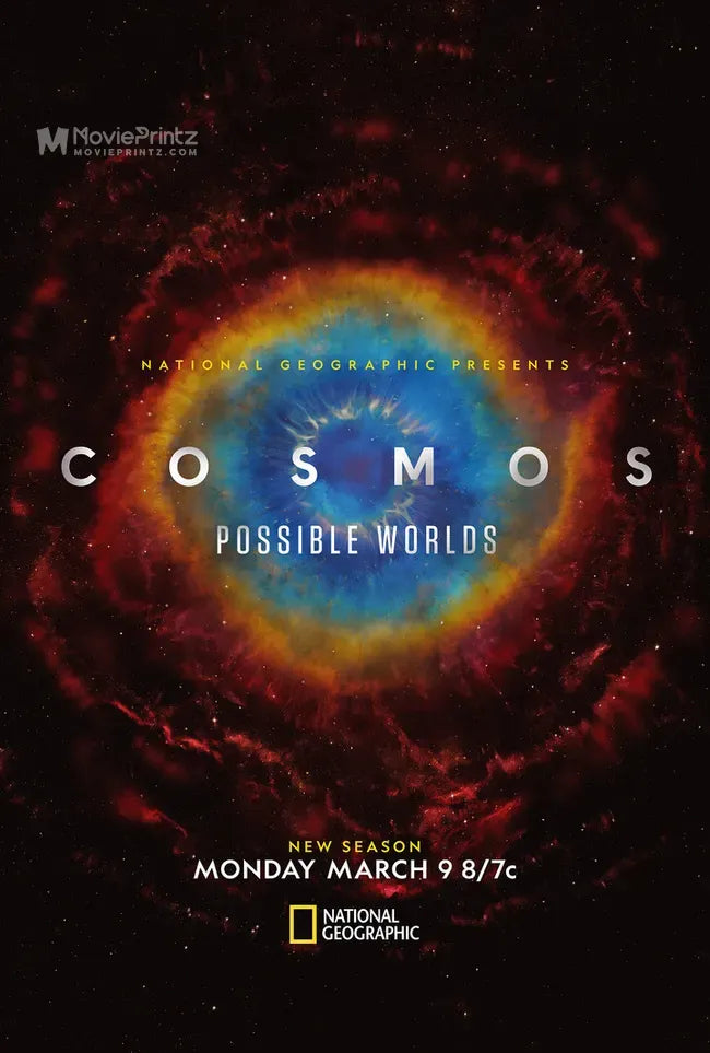 Cosmos: Possible Worlds Poster