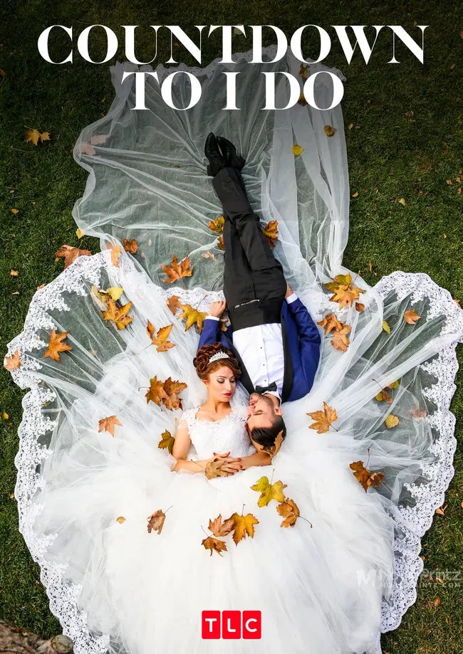 Countdown to I Do Poster