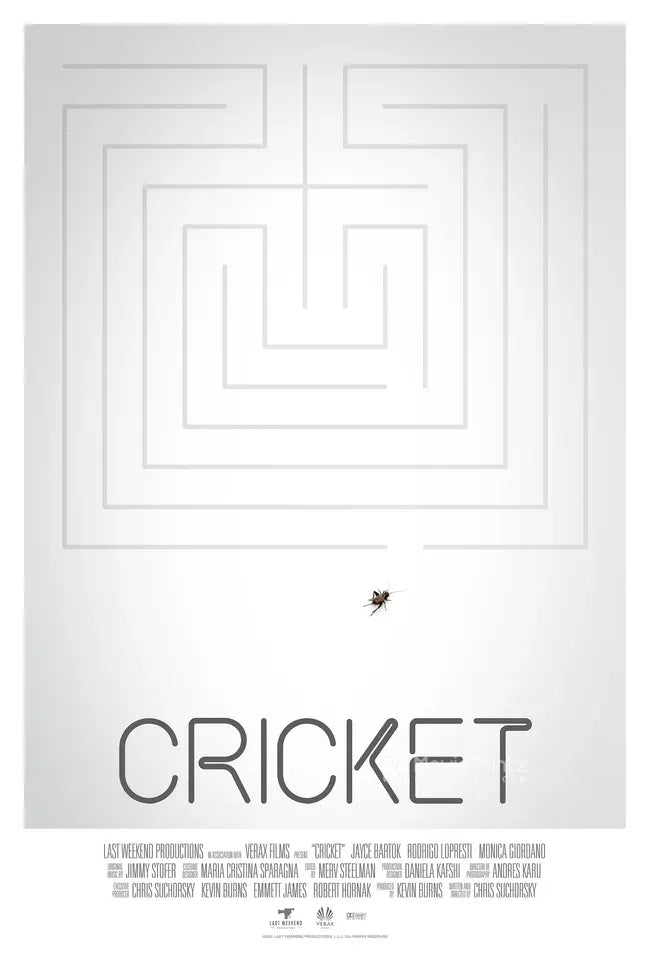 Cricket Poster