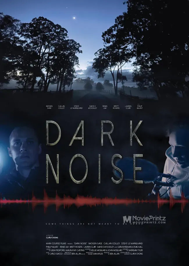 Dark Noise Poster