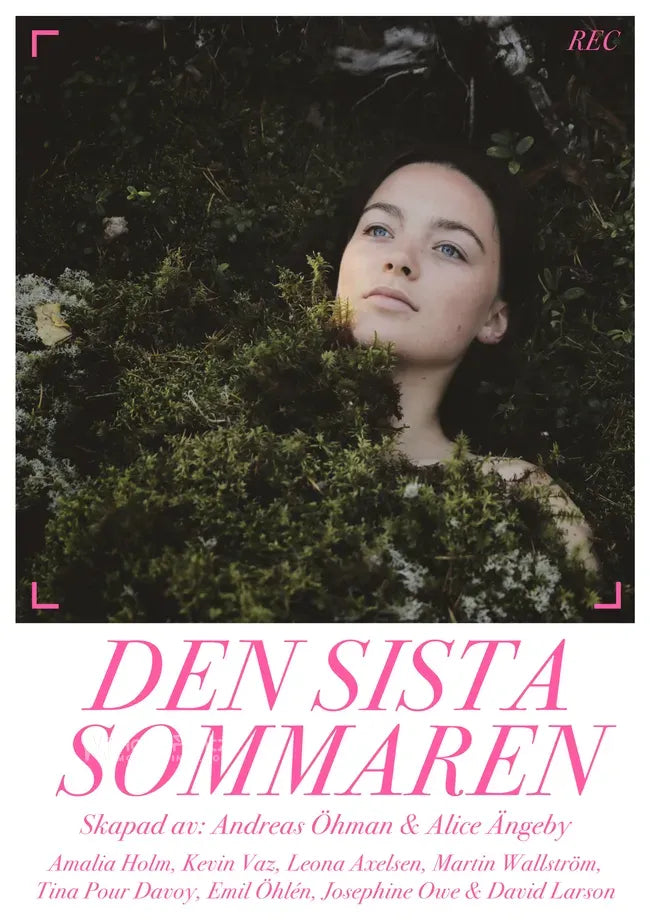 Den sista sommaren Poster