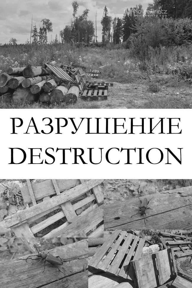 Destruction Poster