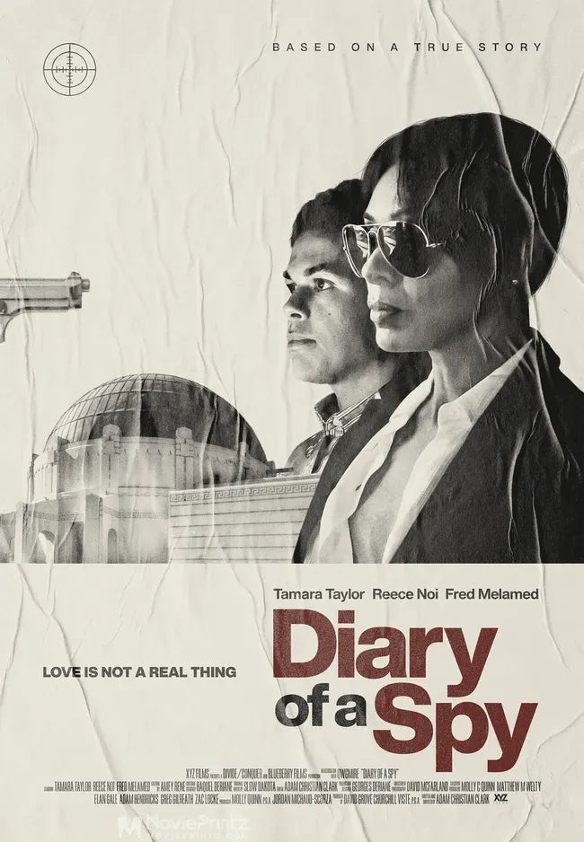 Diary of a Spy Poster