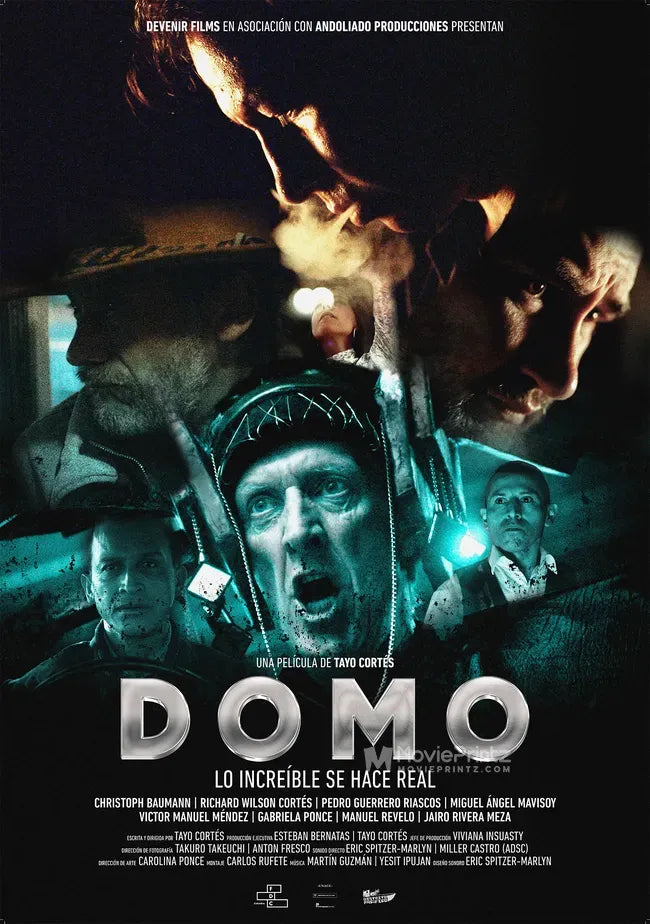 Domo Poster