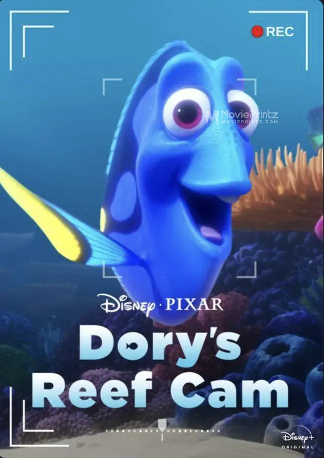 Dory's Reef Cam Poster