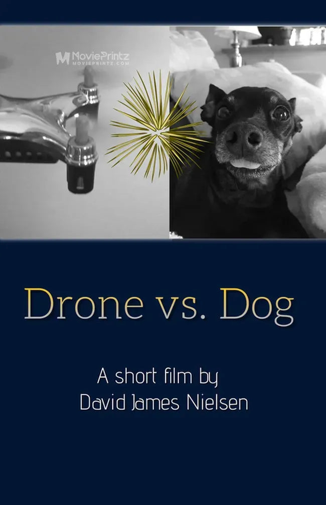 Drone vs. Dog Poster