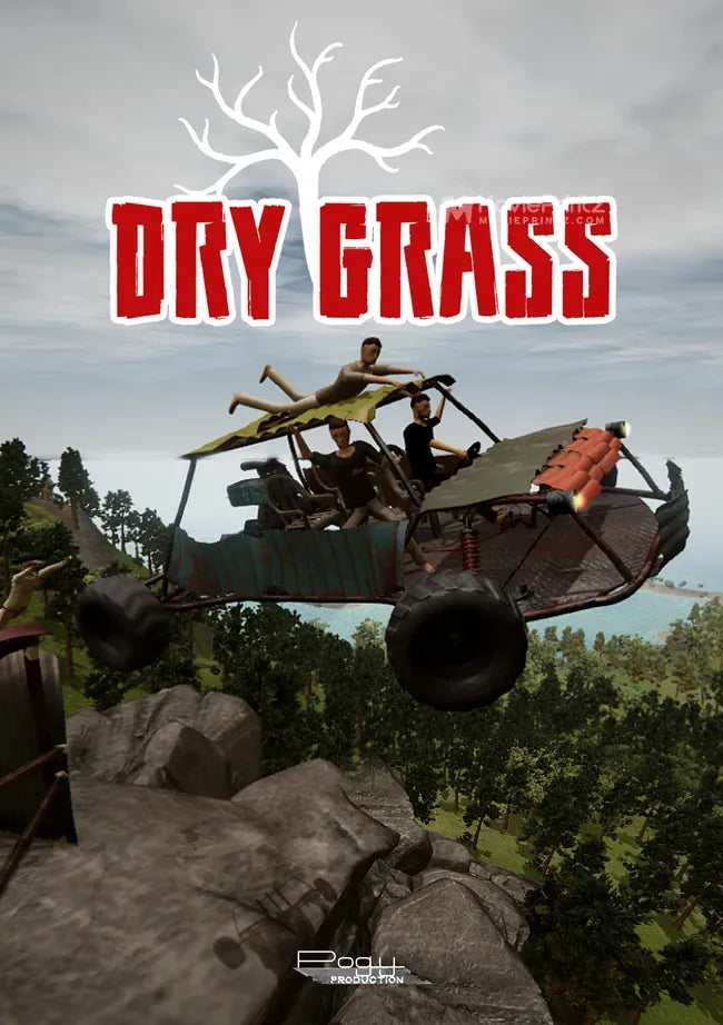 Dry Grass Poster