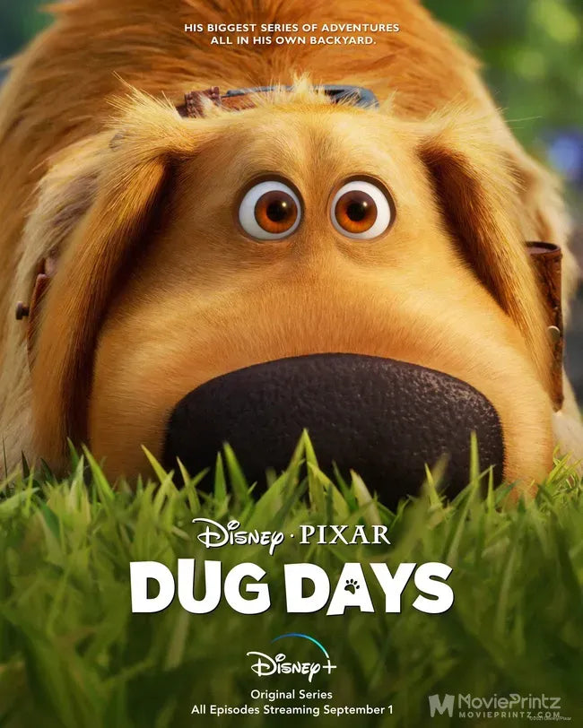 Dug Days Poster