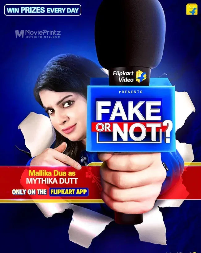 Fake or Not Poster