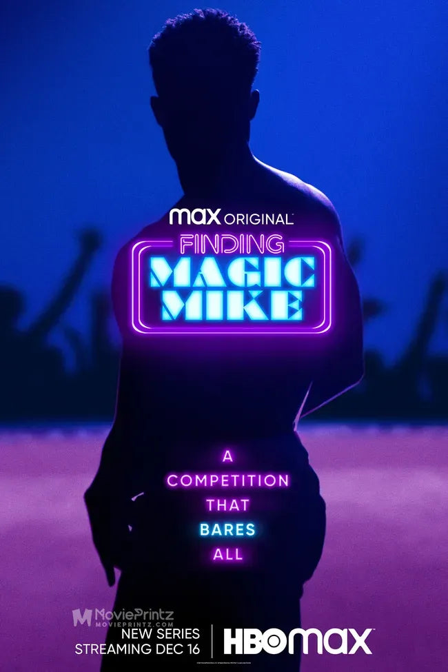 Finding Magic Mike Poster