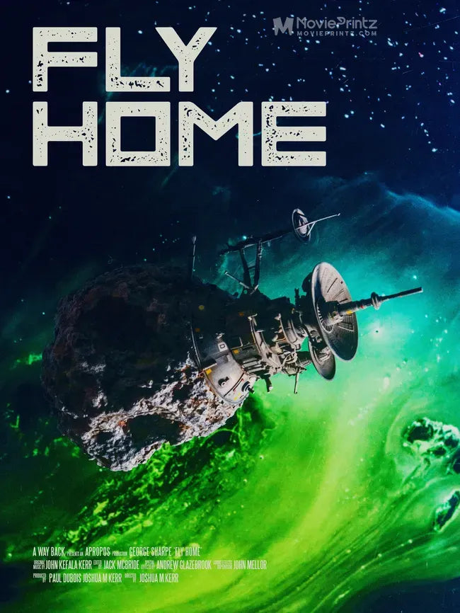 Fly Home Poster