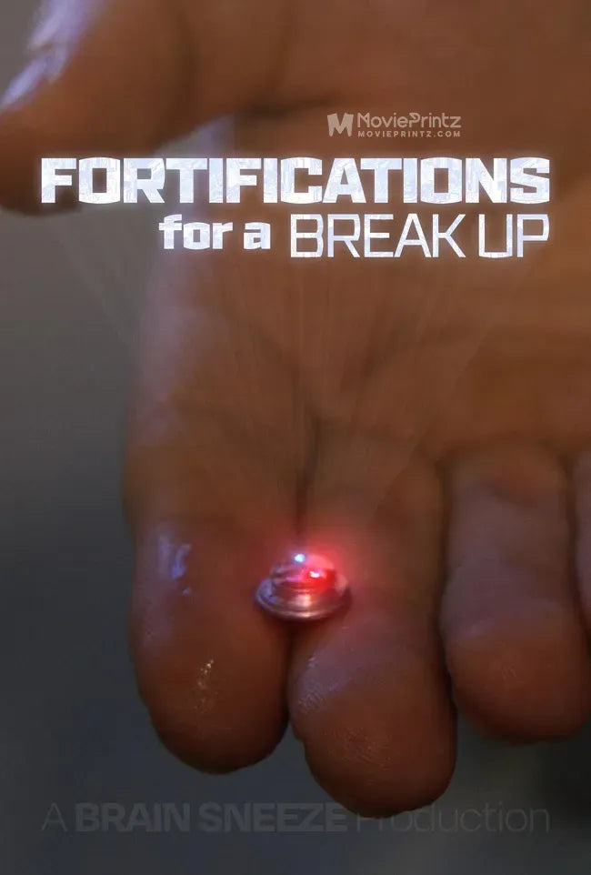 Fortifications for A Break Up Poster