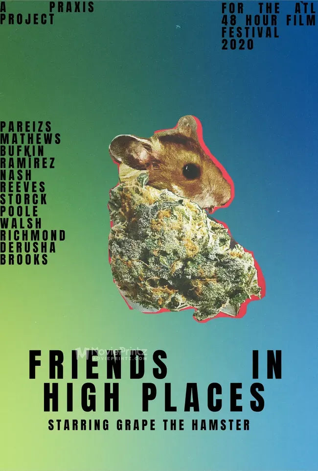 Friends in High Places Poster