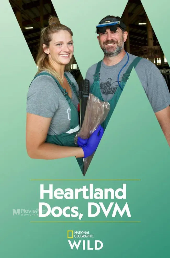 Heartland Docs, DVM Poster