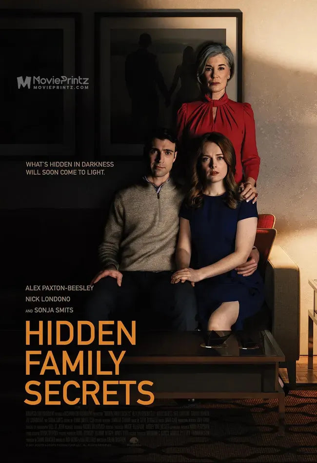 Hidden Family Secrets Poster