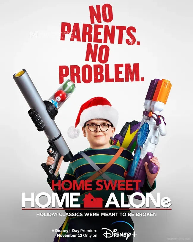 Home Sweet Home Alone Poster