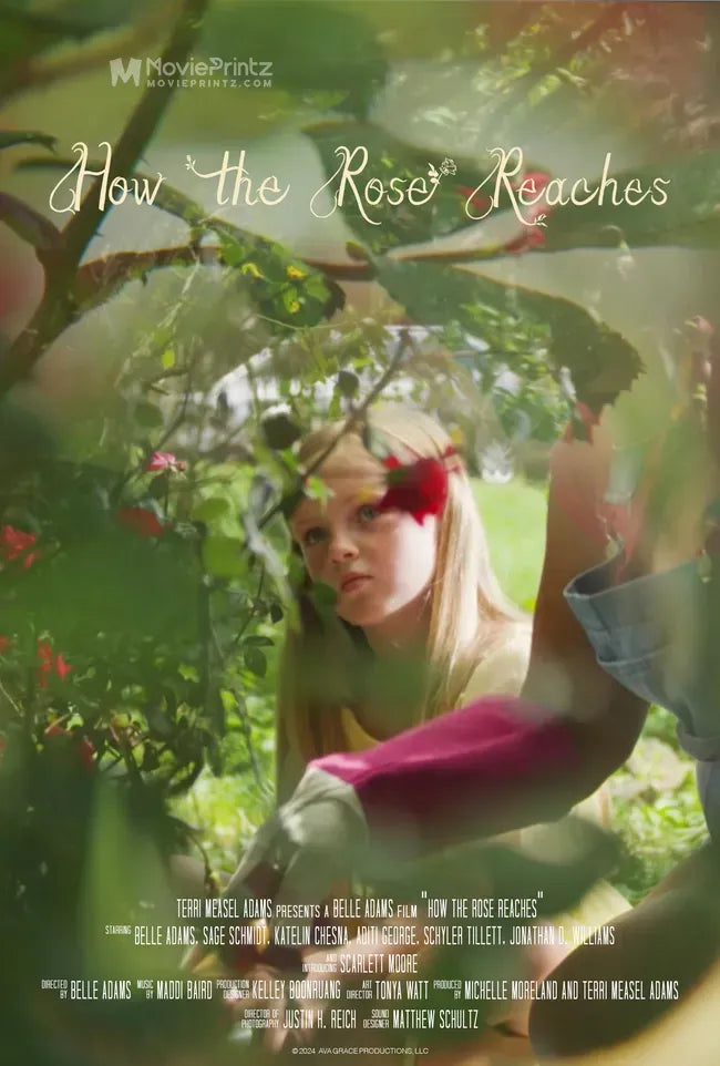 How the Rose Reaches Poster