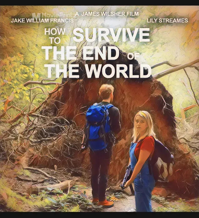 How to Survive the End of the World Poster