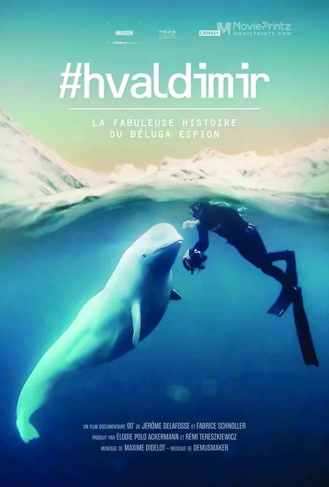 #hvaldimir - La Fabuleuse histoire du beluga espion Poster