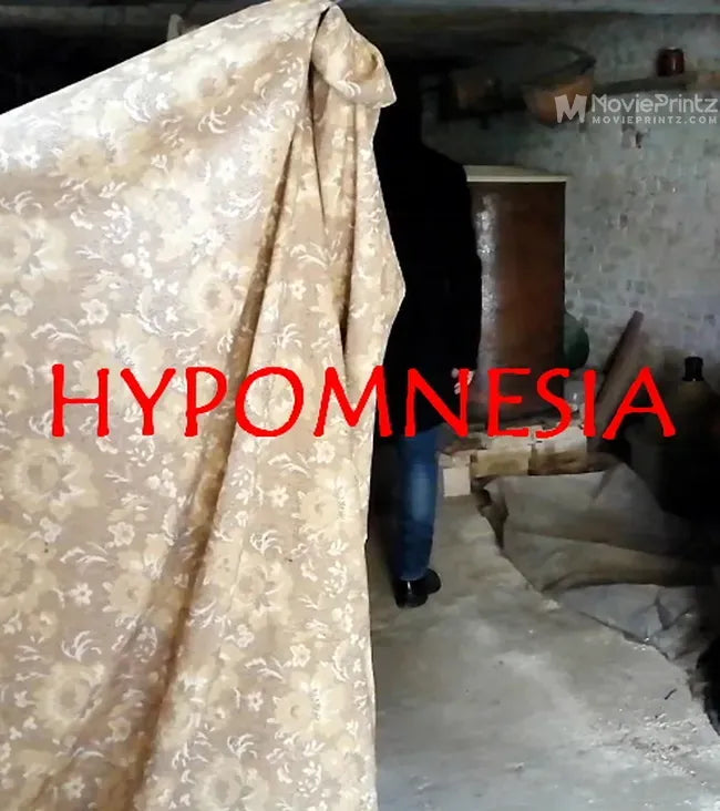 Hypomnesia Poster