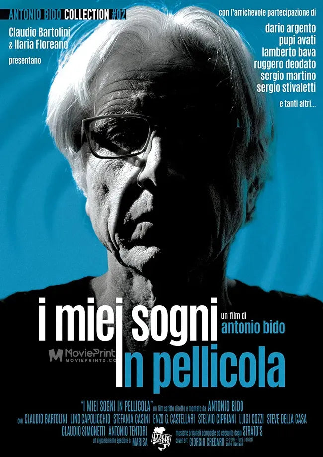 I miei sogni in pellicola Poster