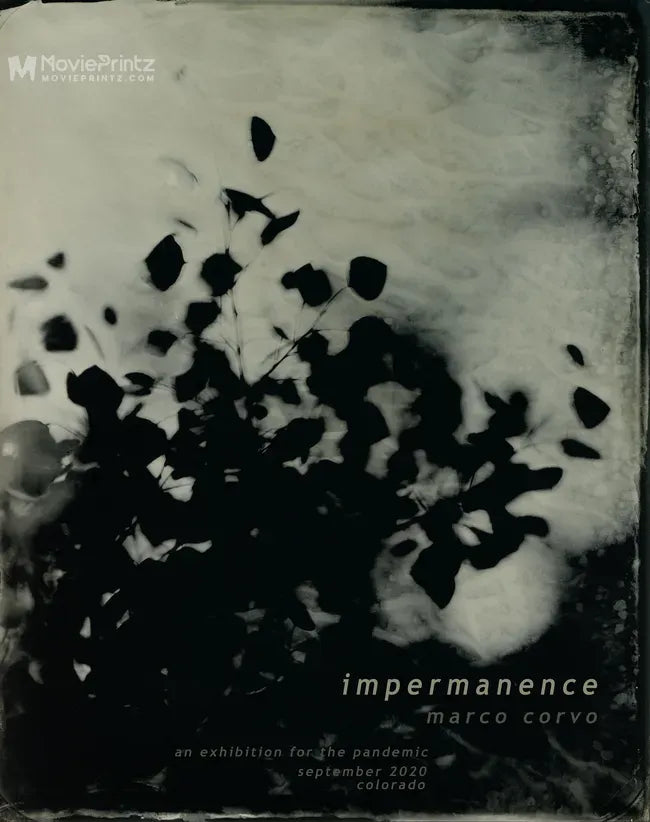 Impermanence Poster