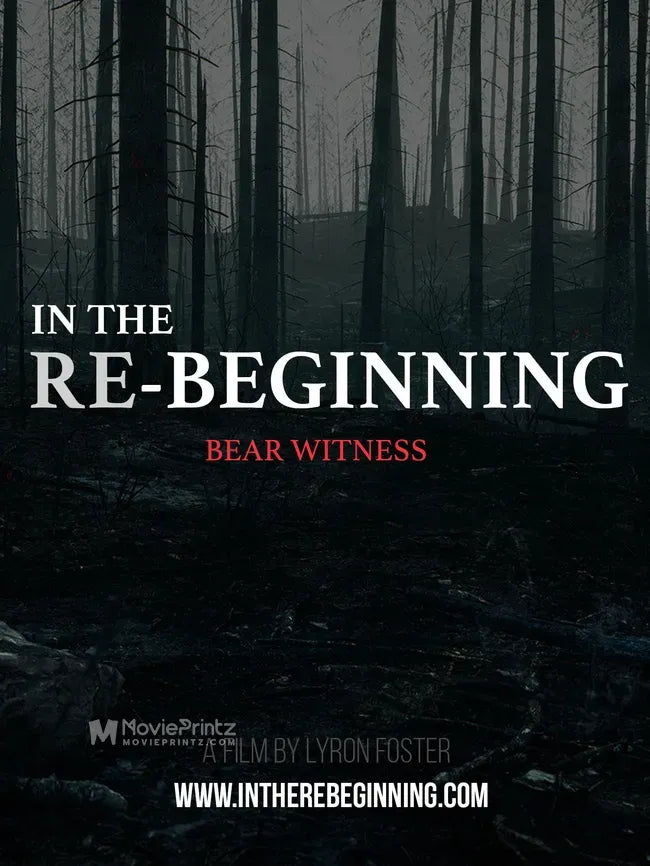 In the Re-Beginning Poster