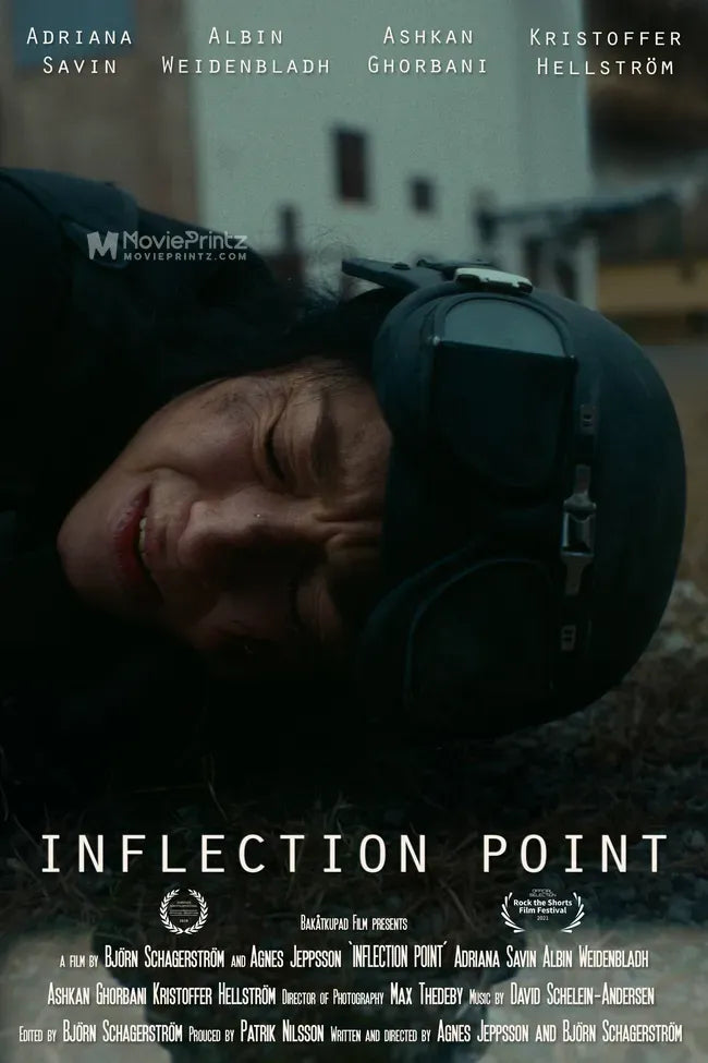 Inflection Point Poster