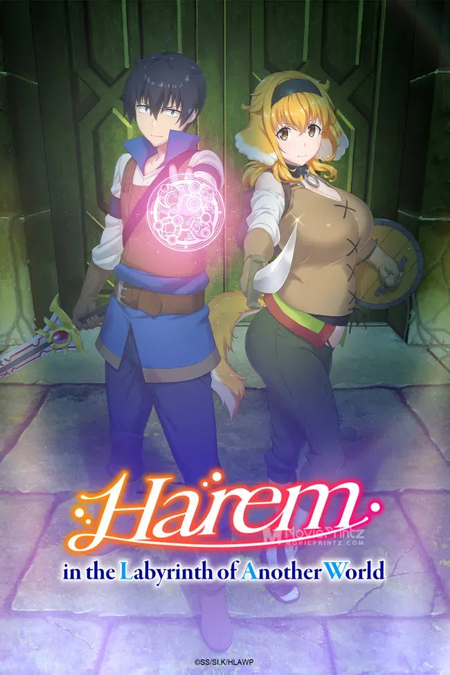 Isekai Meikyuu de Harem o Poster