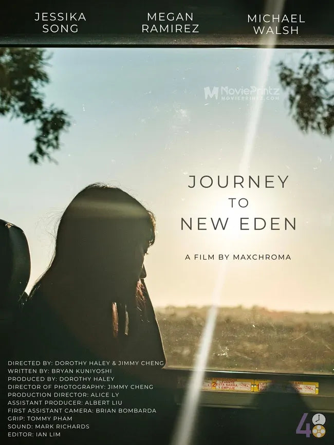 Journey to New Eden Poster