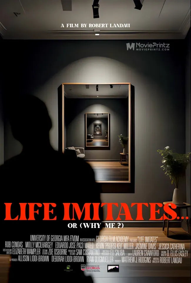 Life Imitates... or (Why Me?) Poster