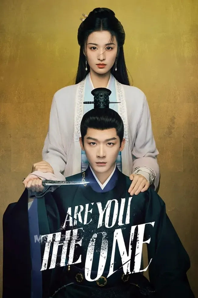 Liu zhou ji Poster