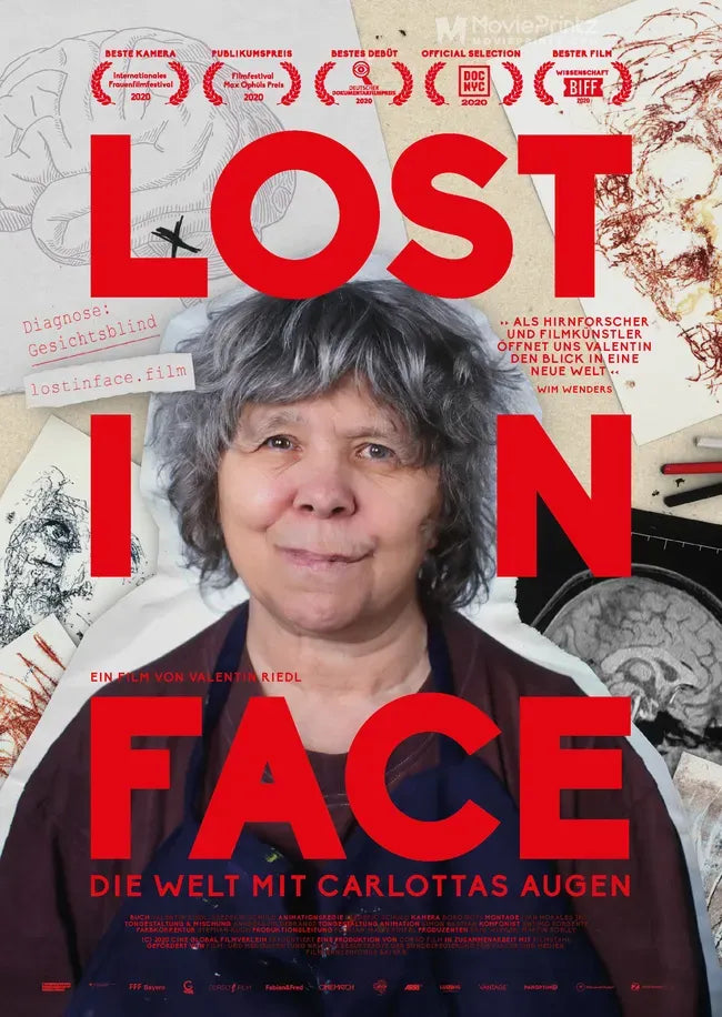 Lost in Face Poster