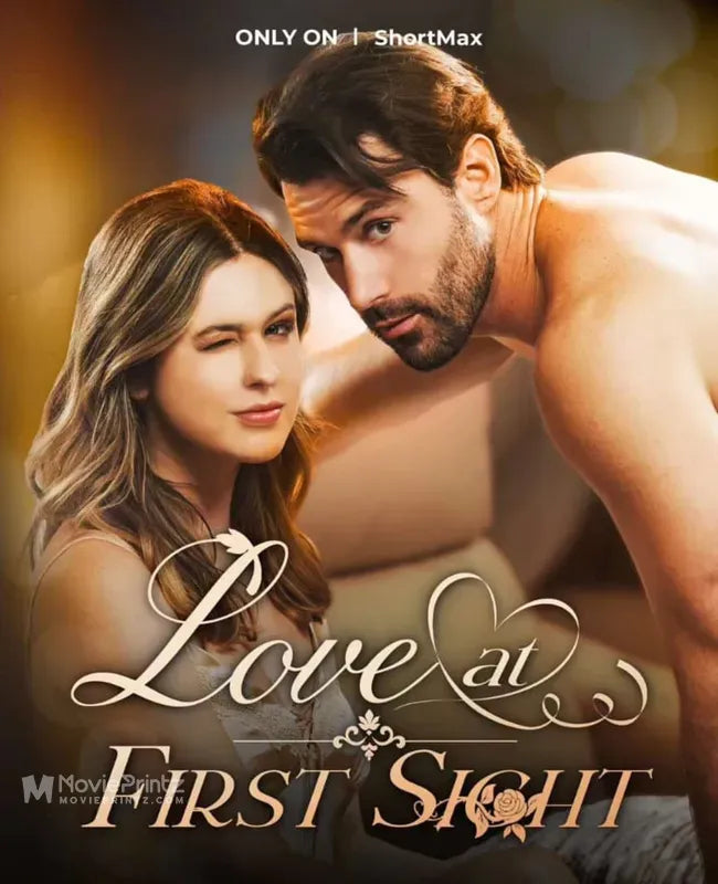 Love at First Sight Poster