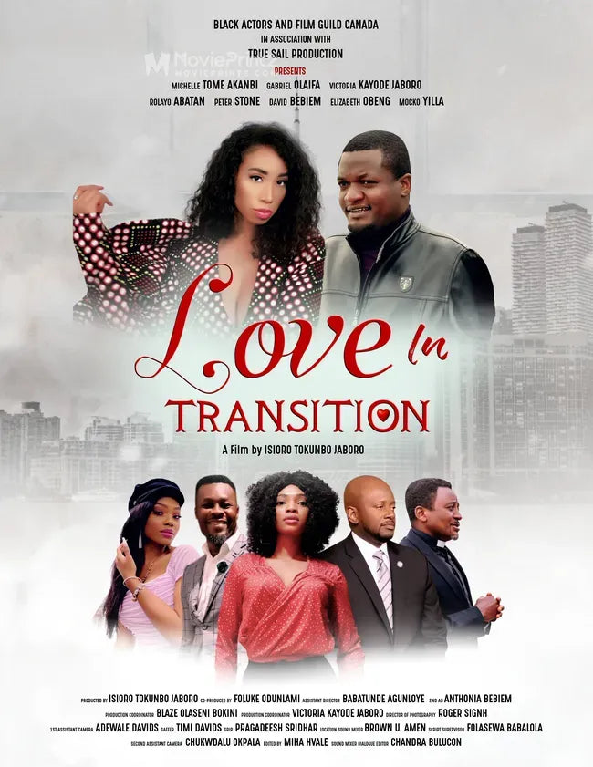 Love in Transition Poster