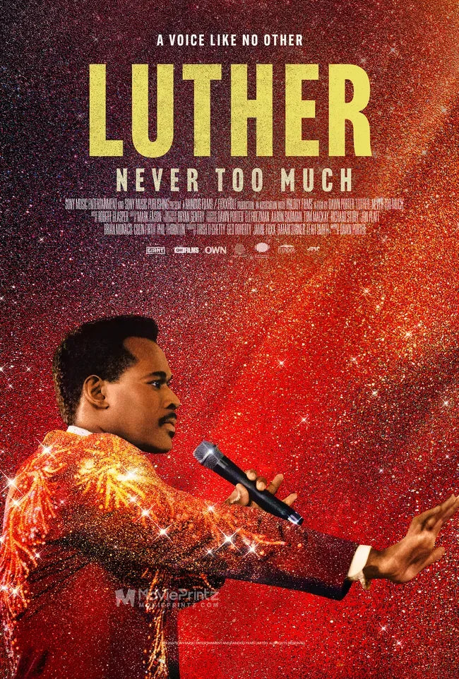 Luther: Never Too Much Poster