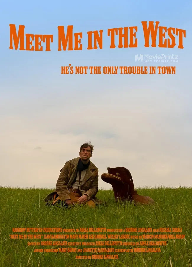 Meet Me in the West Poster