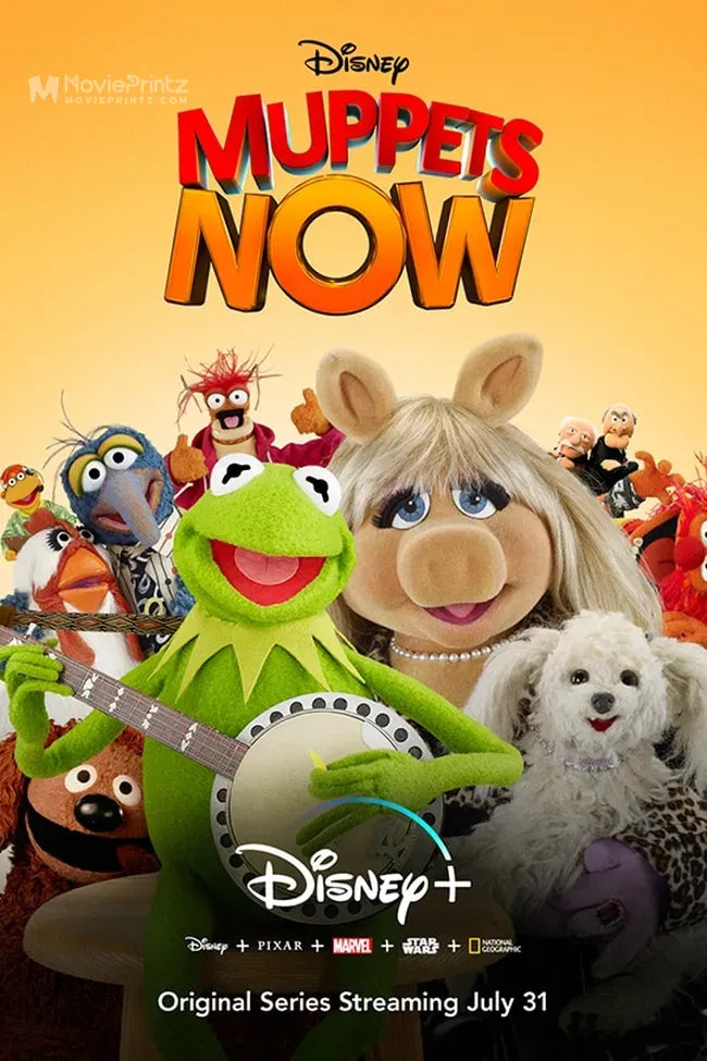 Muppets Now Poster