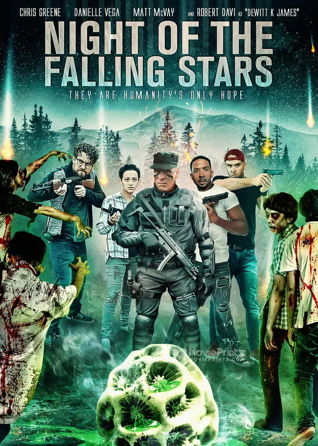 Night of the Falling Stars Poster